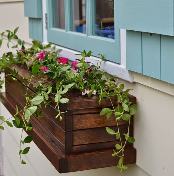 Fabulous Flower Boxes