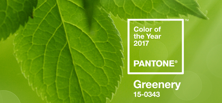 2017 Pantone Color of the Year in Review