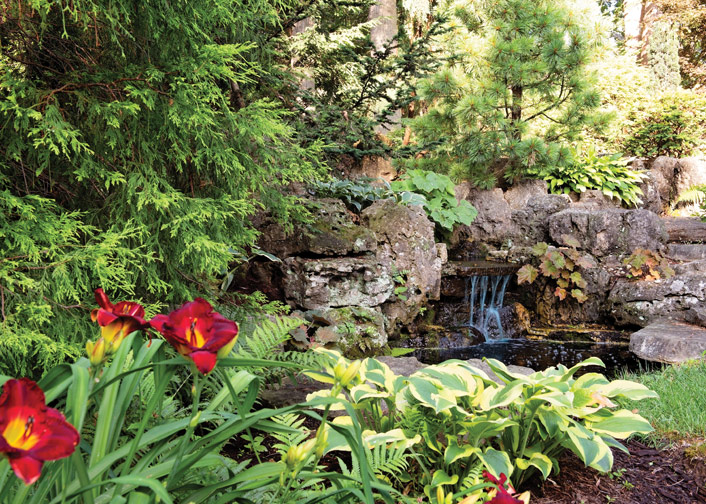 Bring Life to Your Backyard