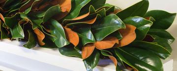 Fresh Holiday Garden 