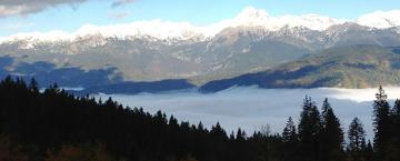 A Medieval Adventure