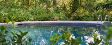 Grown from the Heart