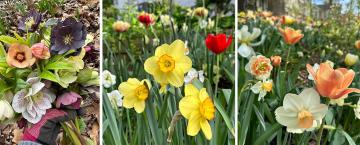 The Slope of Possibility