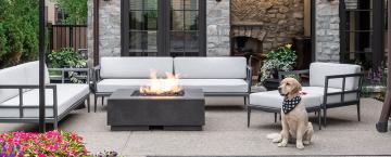 A Sense of  Belonging 