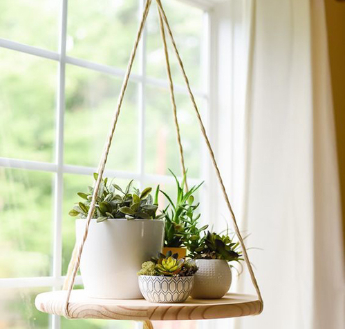 Unique Indoor Plant Containers