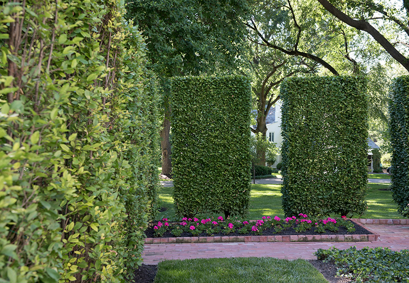 Pruned, Planted, Precise | ST. LOUIS HOMES & LIFESTYLES