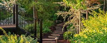 A Backyard Fairytale