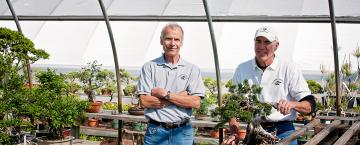 Bonsai Buckaroos
