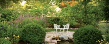 Colonial Charm