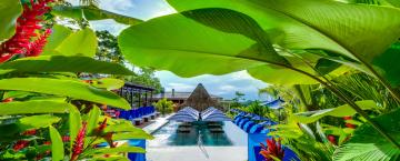 Wellness for the Win