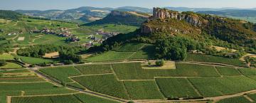 French Wines & French Toast