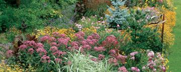 Garden Reads