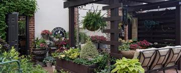 2022 Garden of the Year: Joy Abounds