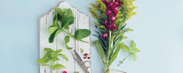 Flavor, Fragrance & Food