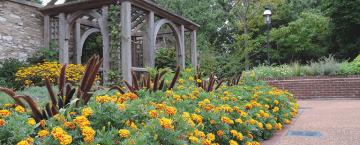 Sensory Garden