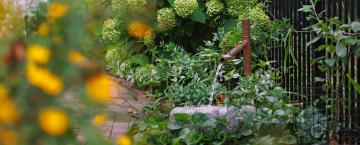 Conservation at Home