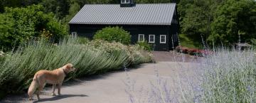 2021 Garden of the Year: Nature's Bounty 