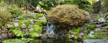 Water, Water Everywhere