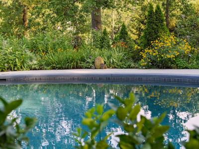 Grown from the Heart